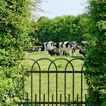 La Ferme Aux Charmes Solre-le-Château